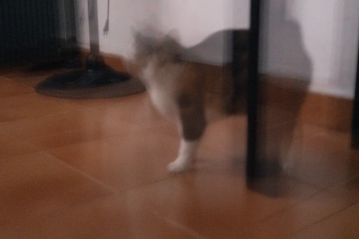 Lily Fantasma